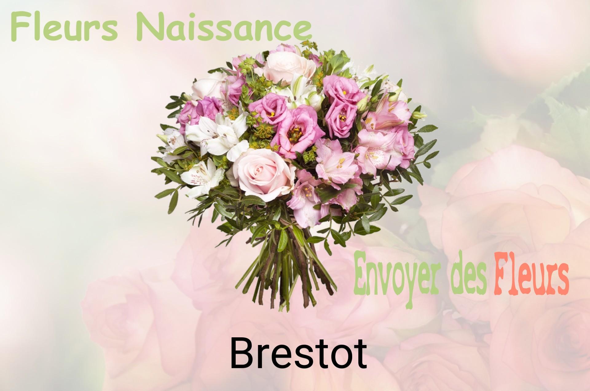 Bouquet de fleurs de naissance livré à Brestot
