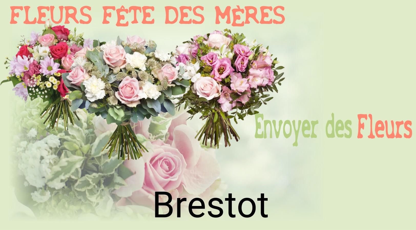 Bouquet de Fête des Mères livré à Brestot